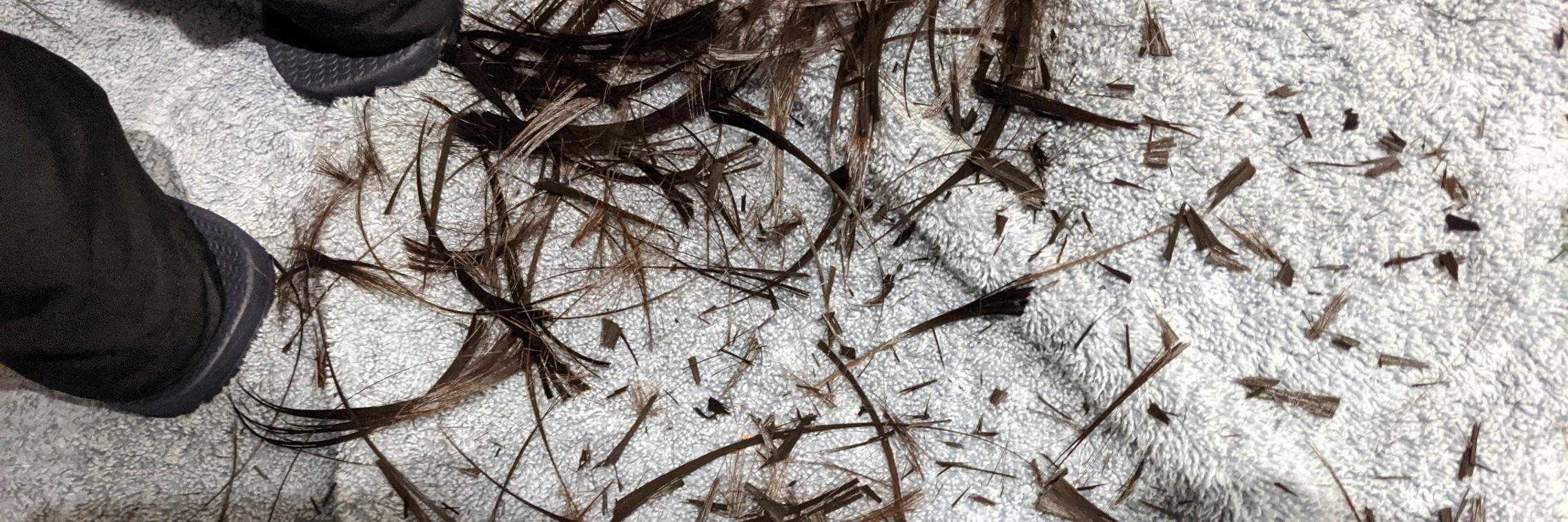 Haircuts at home Student Health and Wellbeing University of Adelaide