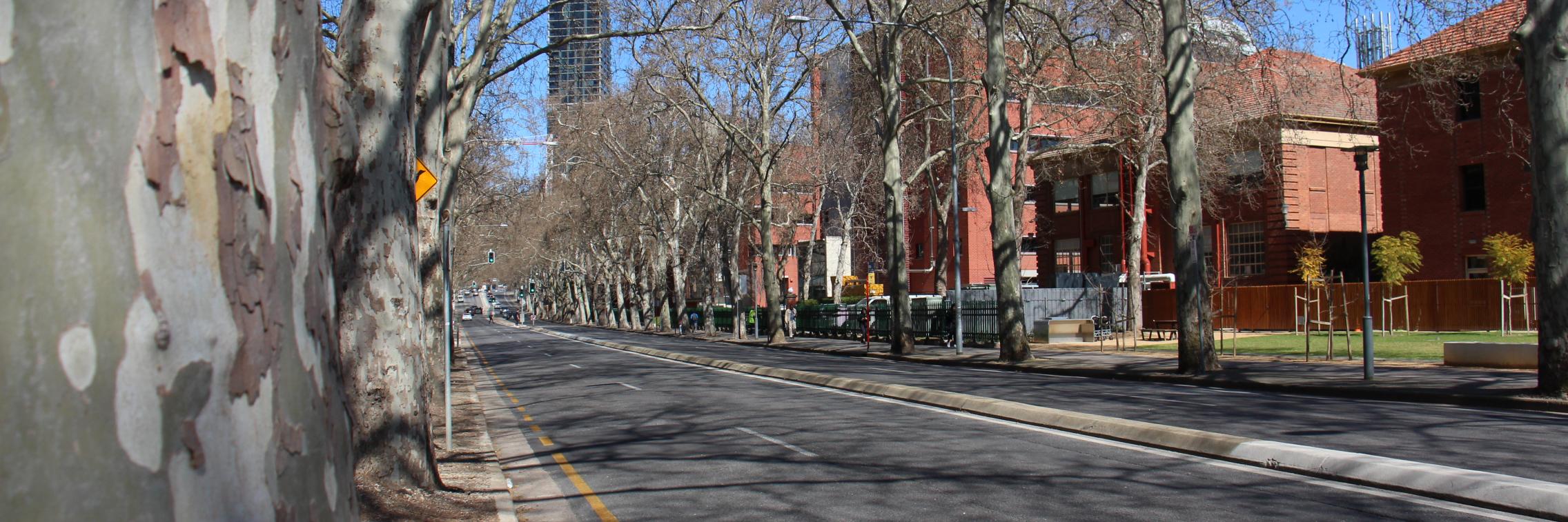 An empty street