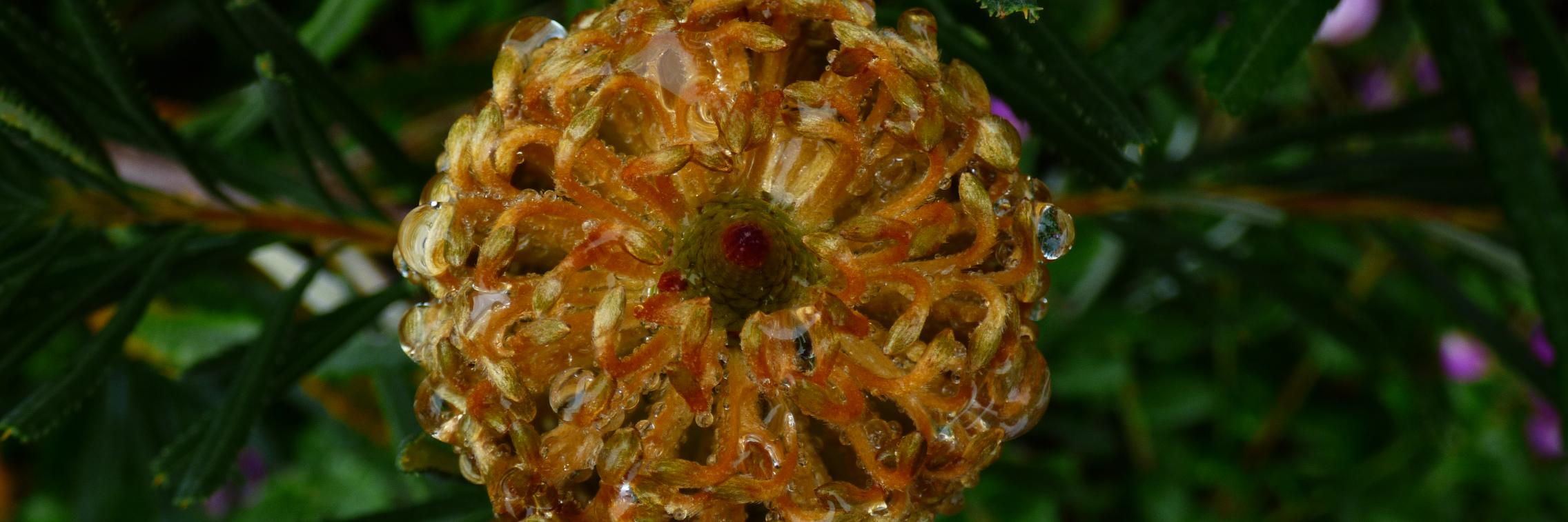 A golden flower