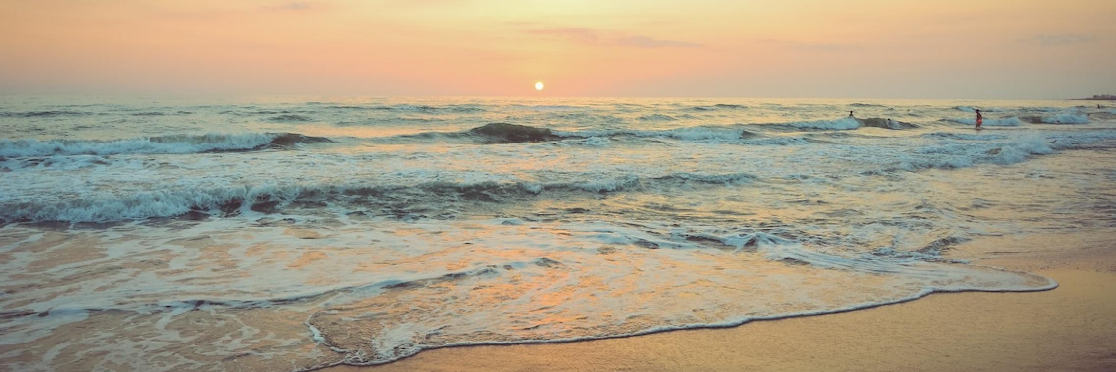 The beach.