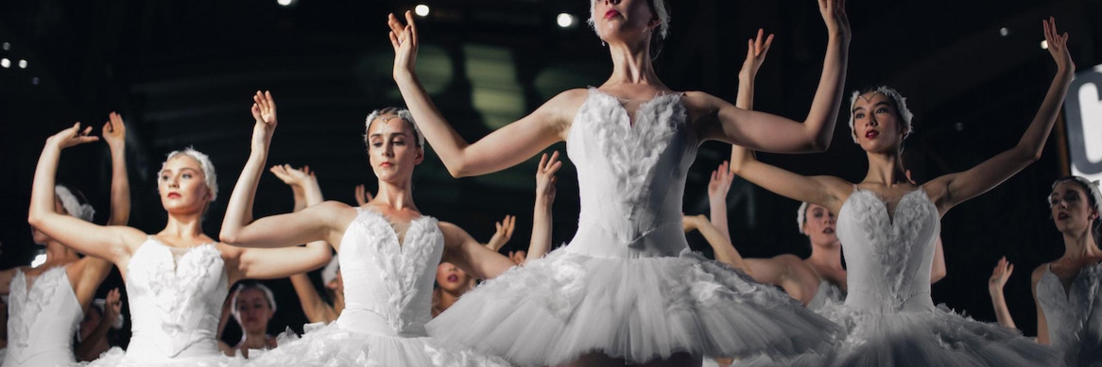A group of ballerinas.