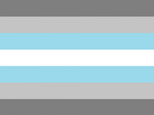 demiboy flag (horizontal stripes: dark grey, light grey, light blue, white, light blue, light grey, dark grey)