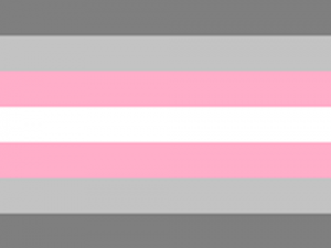 demigirl flag (horizontal stripes: dark grey, light grey, pink, white, pink, light grey, dark grey)