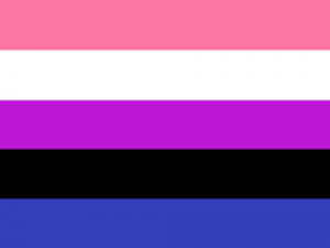gender fluid flag (horizontal stripes: pink, white, purple, black, blue)