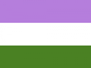 gender queer flag (horizontal stripes: mauve, white, green)