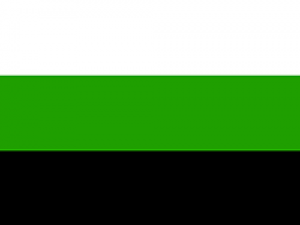 neutrois flag (horiztonal stripes: white, green, black)