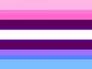 trans bi flag (horizontal stripes: light pink, dark pink, wine, white, wine, mauve, light blue)