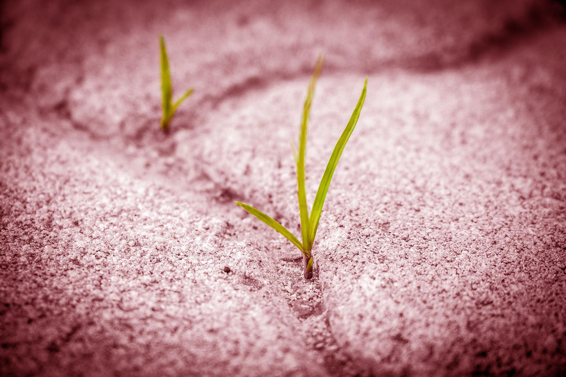 success image - links to tips for success page