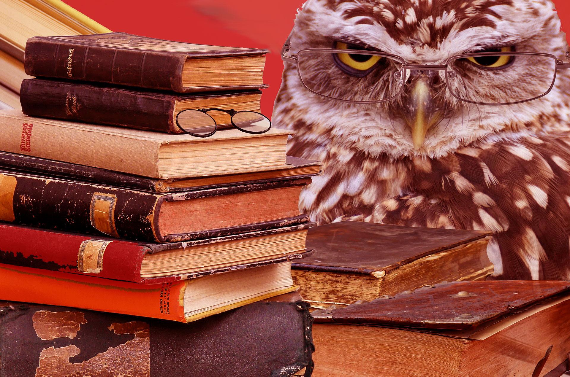 owl with books image - links to study tips page