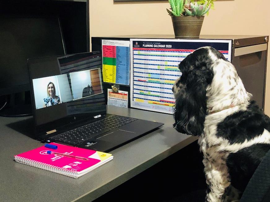 counsellor and dog having a zoom session