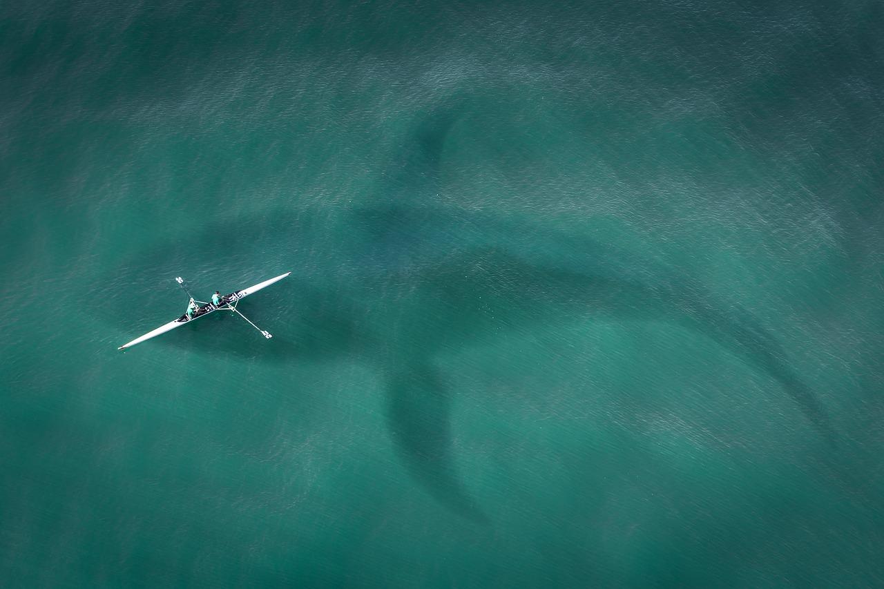 The Loch Ness Monster Wellbeing Hub University Of Adelaide