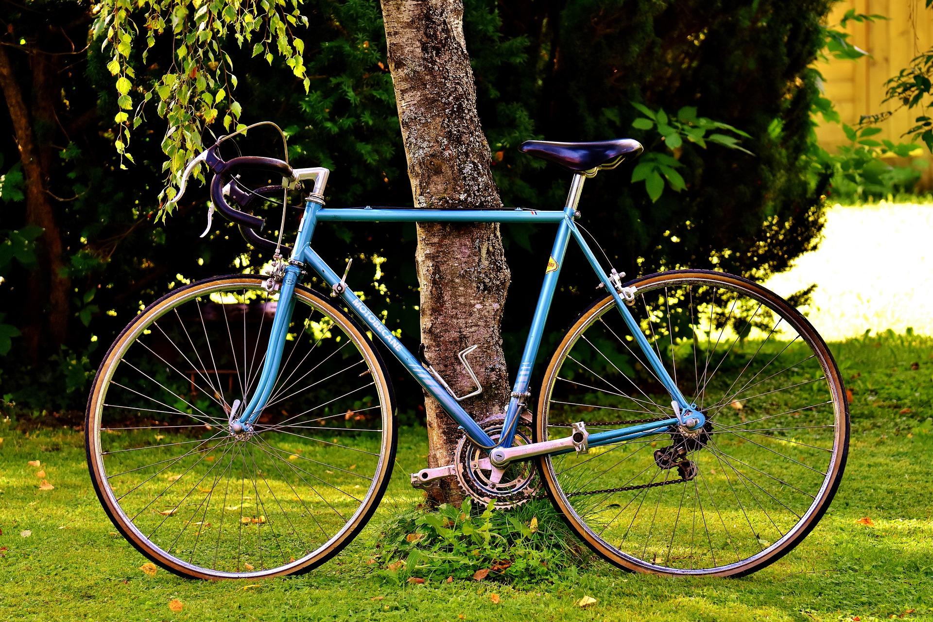 Bicycle leaning against tree