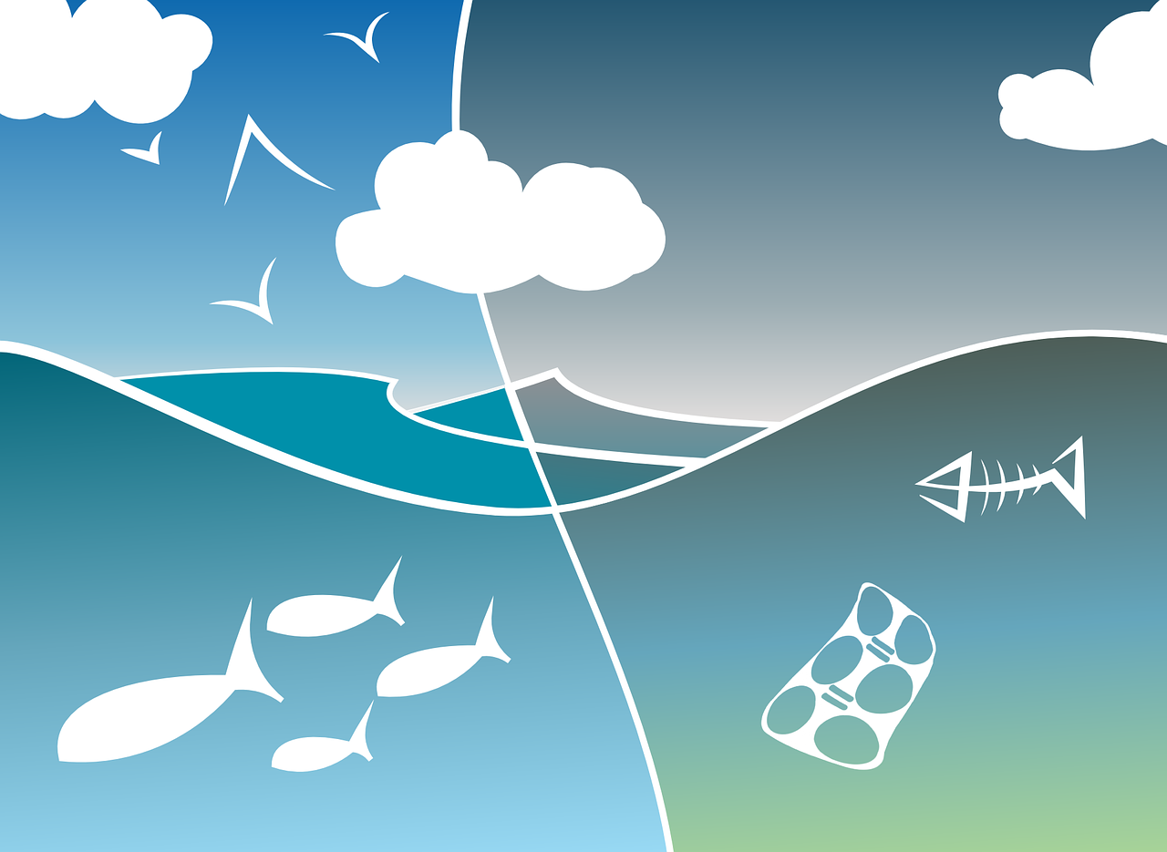 A sustainability diagram
