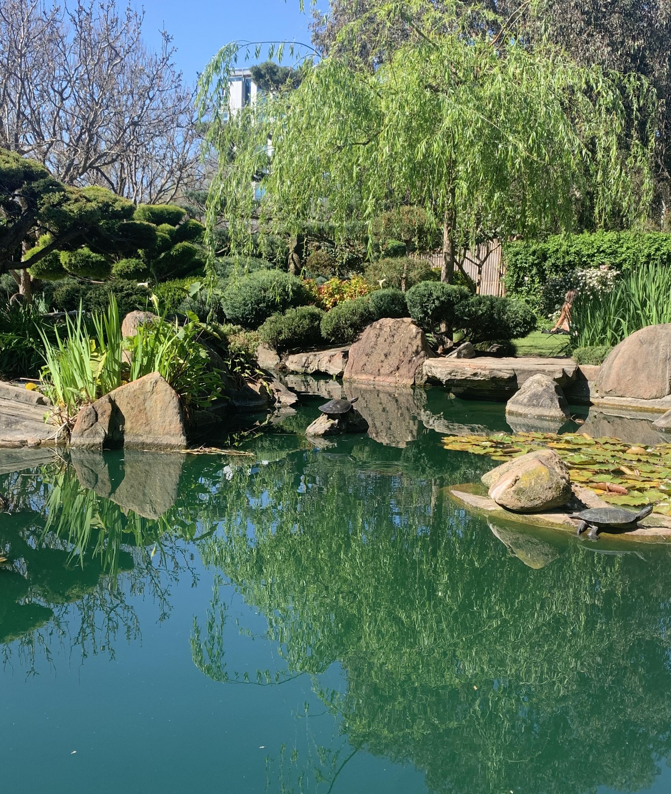Himeji Garden's lake and garden during sunlight