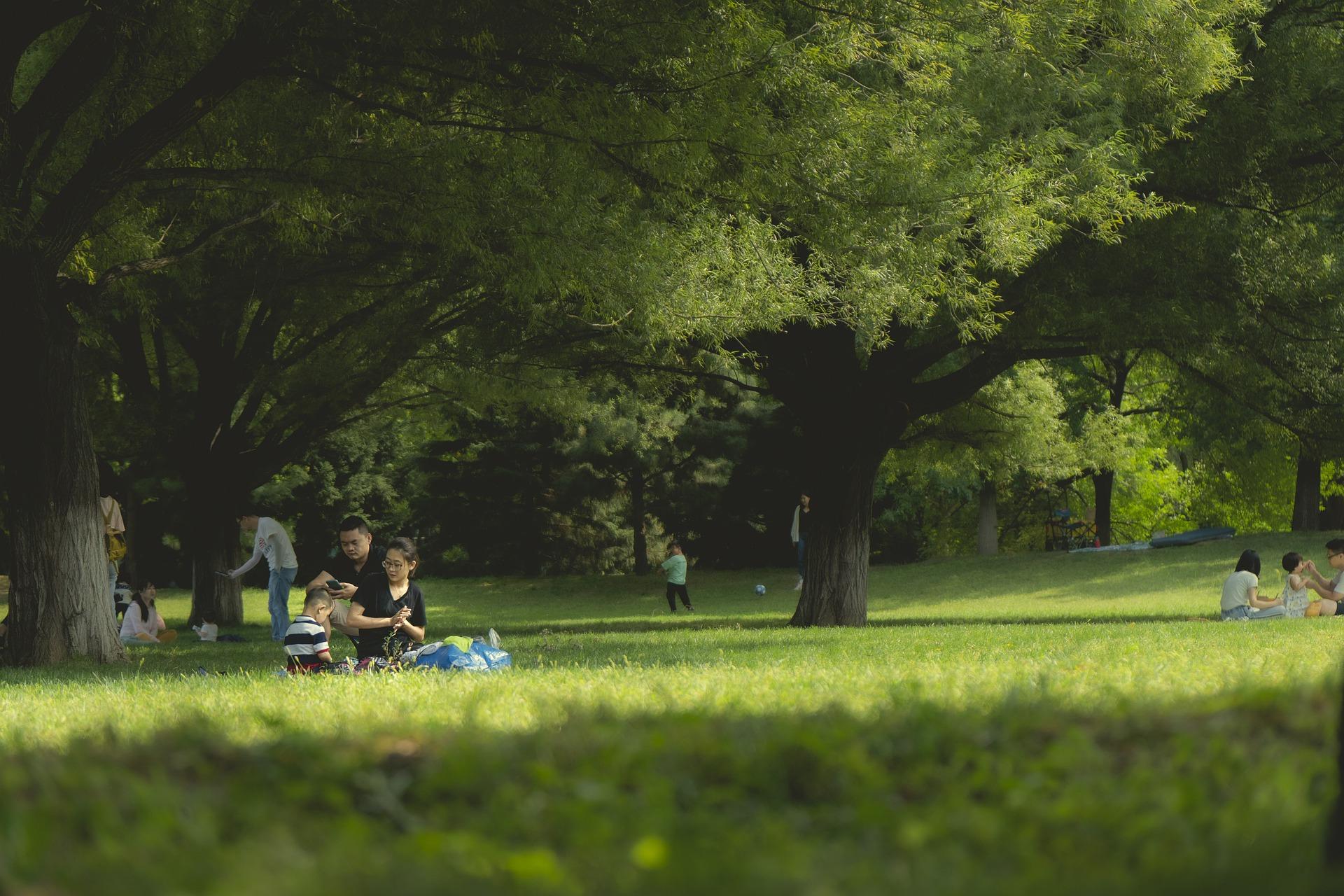 People picnicking in the park