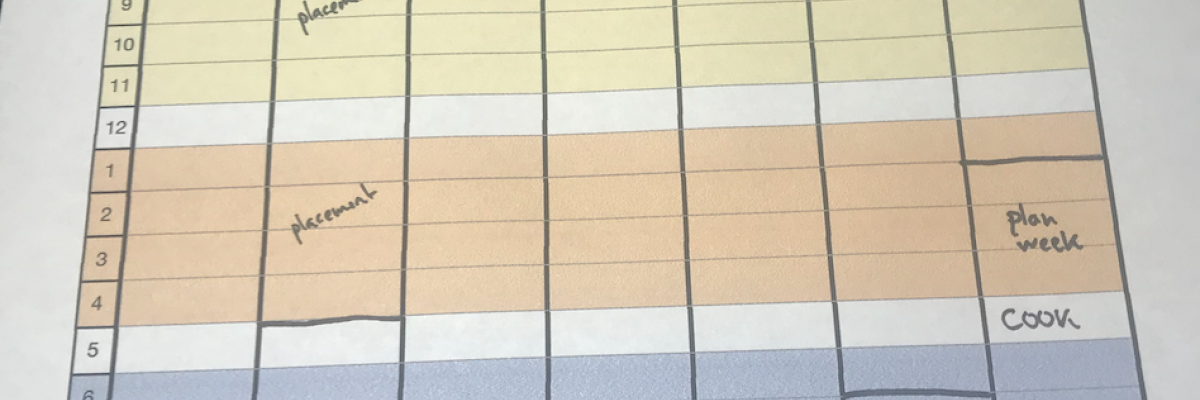 Weekly planner with activities listed for different times.