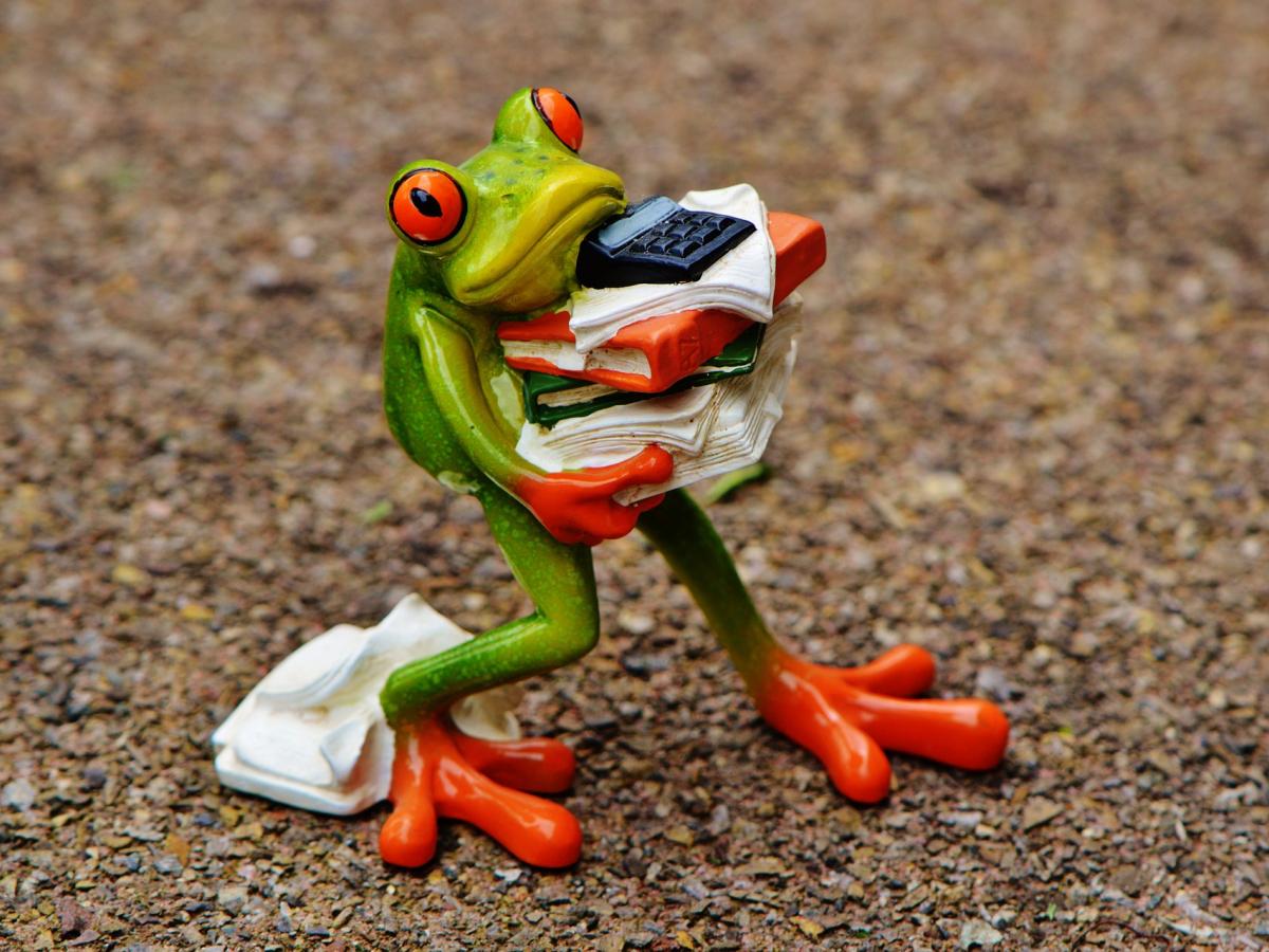 A frog statue holds books