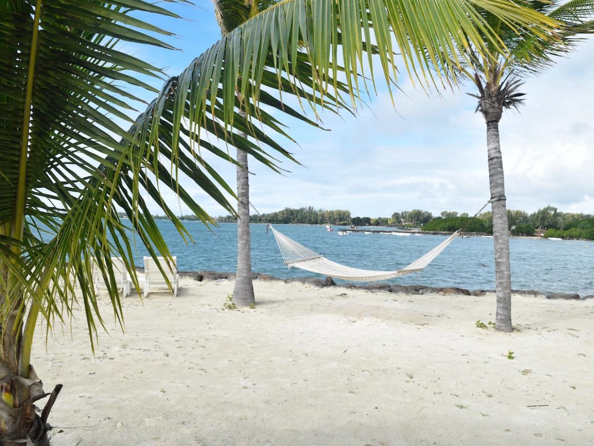 A hammock on the beach.
