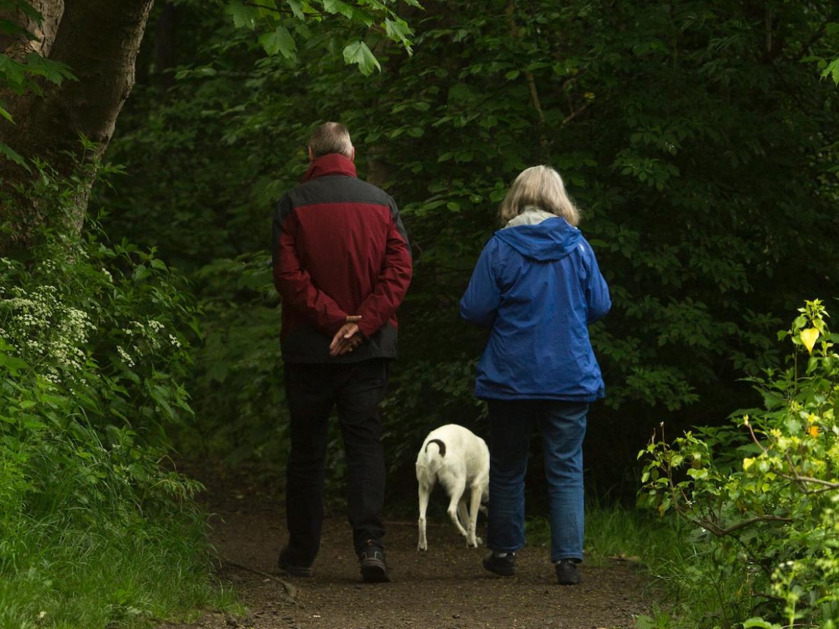 An elderly couple walking their dog in parklands