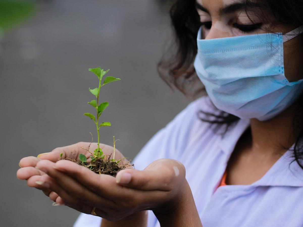person wearing a mask, cupping a seedling in hand that has several small green leaves