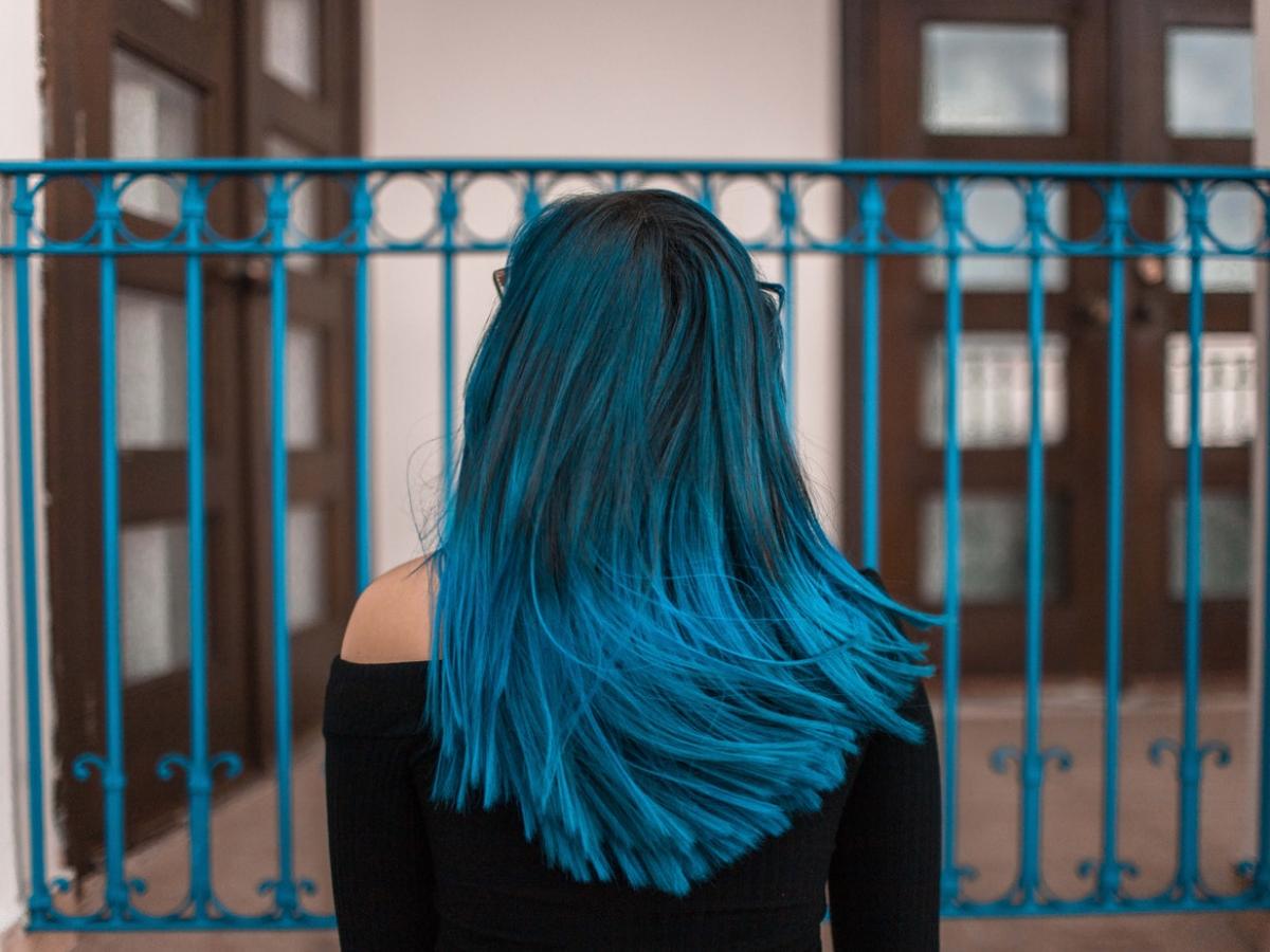 Back of a girl's head showing black and blue hair