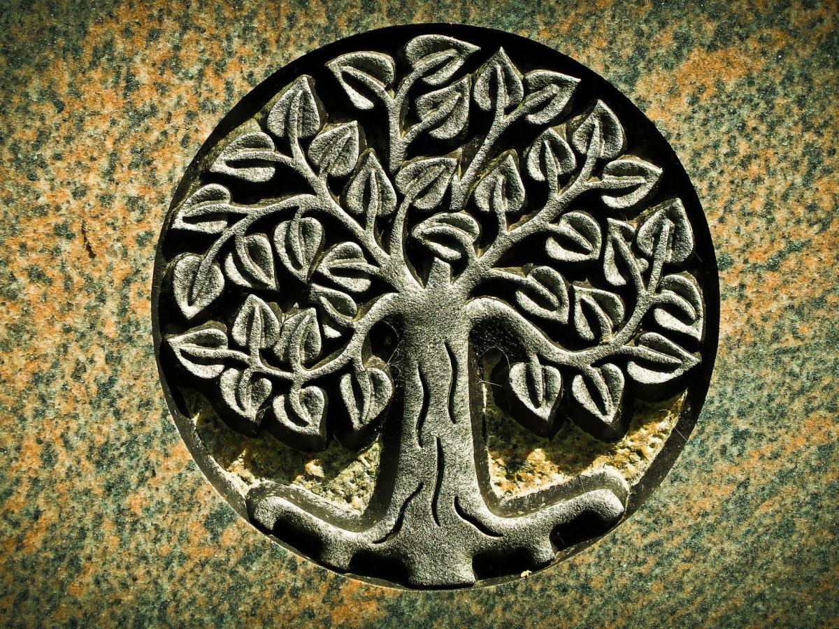 blogpic - pixabay - tree - stone carving