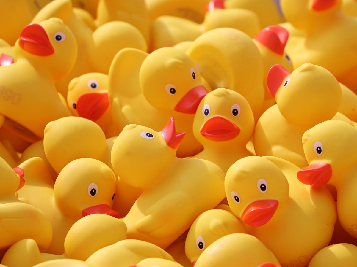 blogpic - rubber ducks