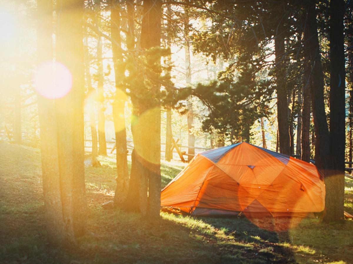 tent in the forest