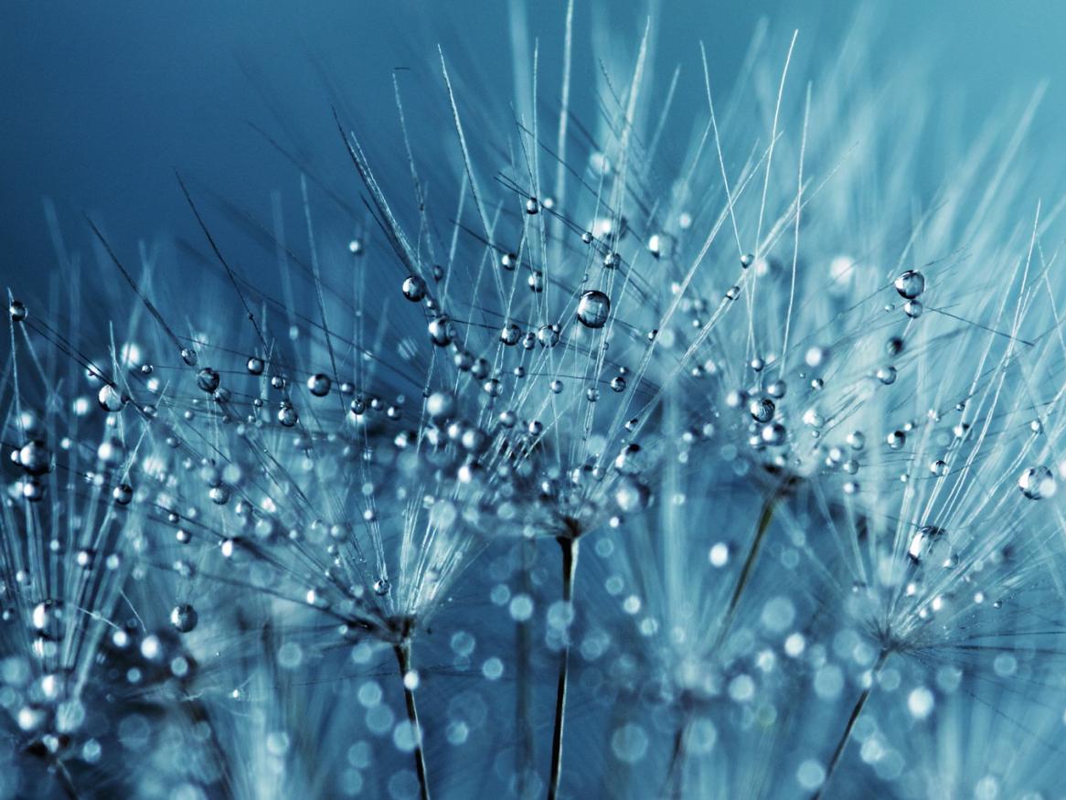 wellbeing hub image - links to feedback page for wellbeing hub content