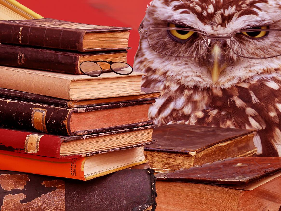 owl with books image - links to study tips page