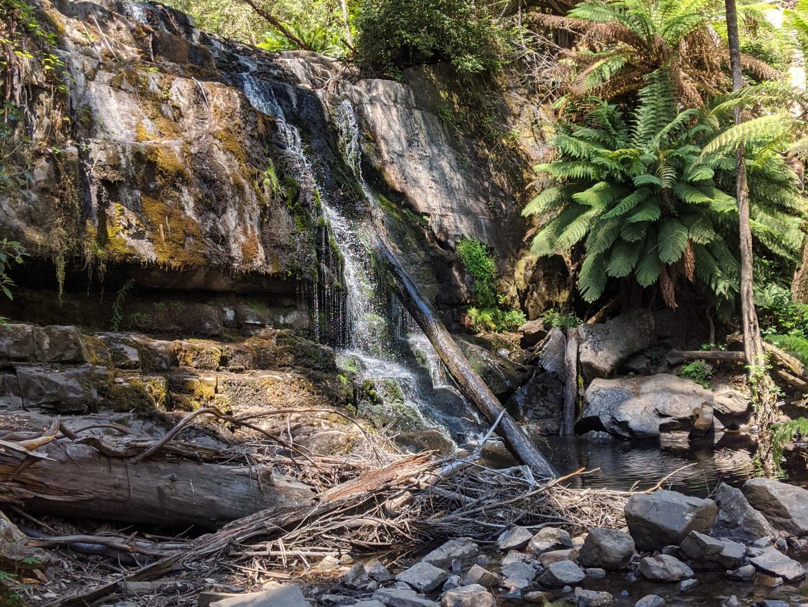 A photograph of my visit to Lilydale Falls, Tasmania. 