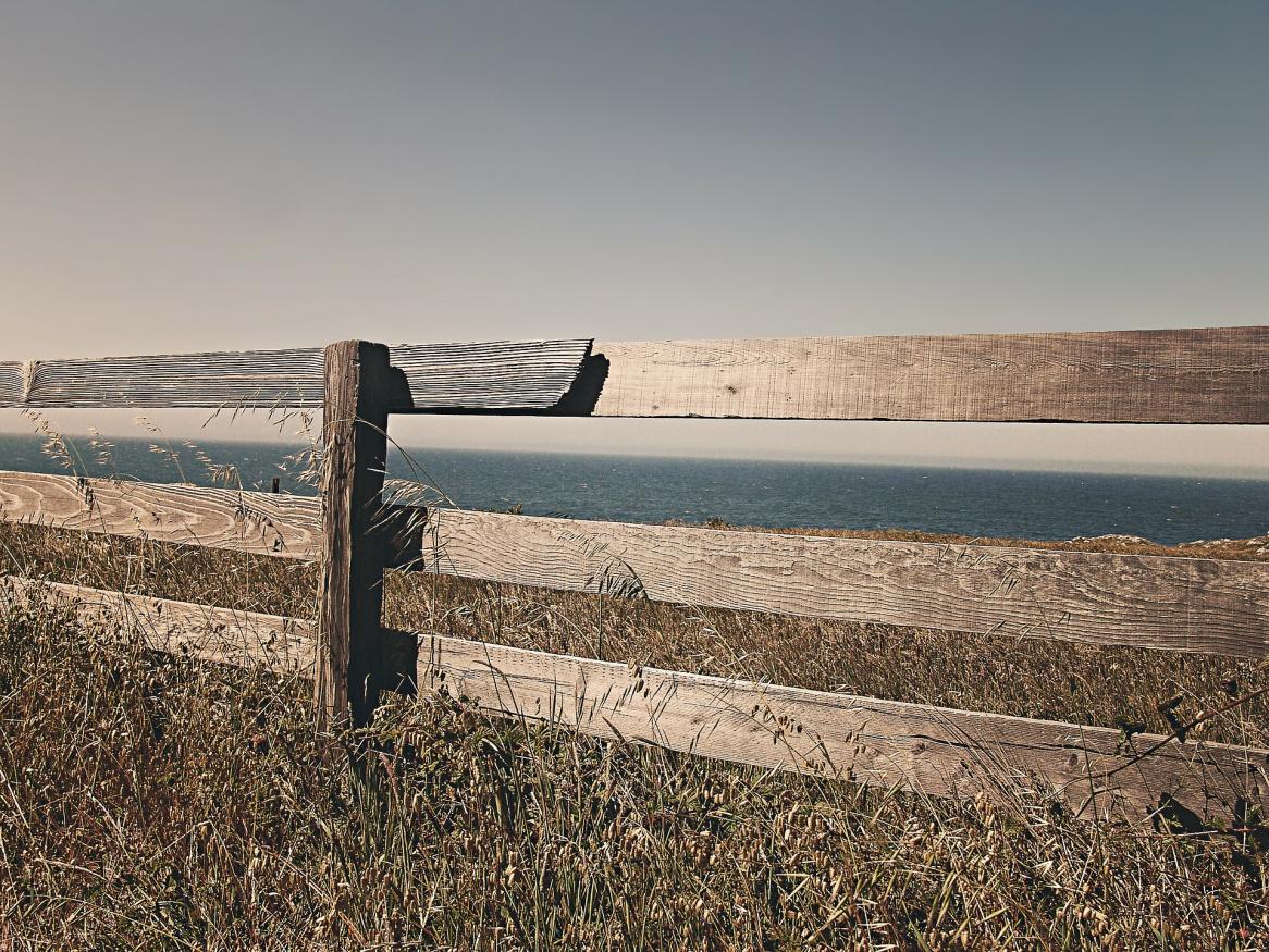 fence.