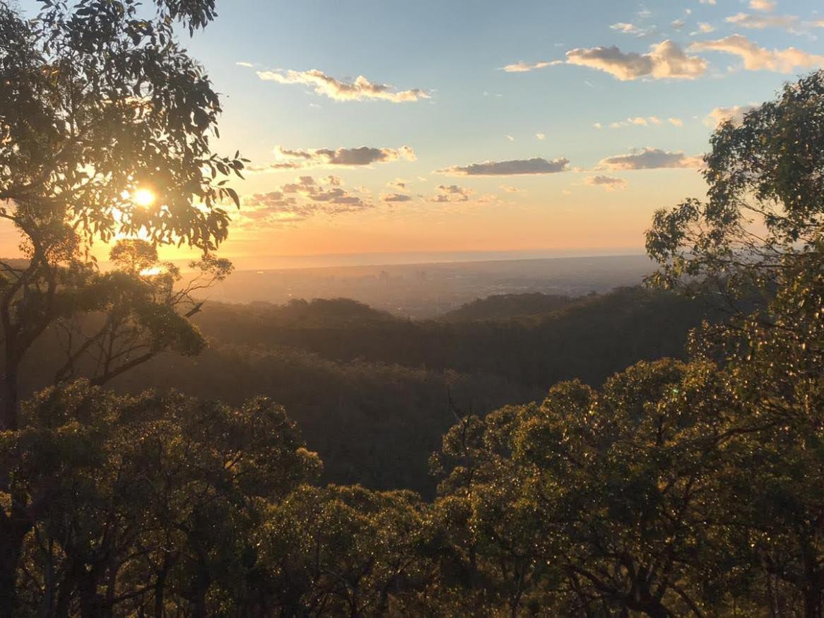 Horsnell Gully