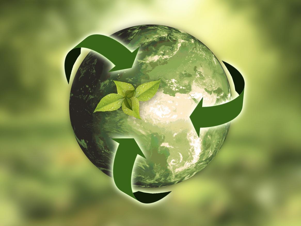 A sustainable earth