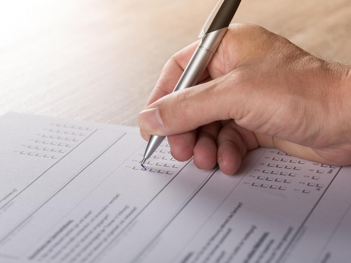 person undertaking a survey