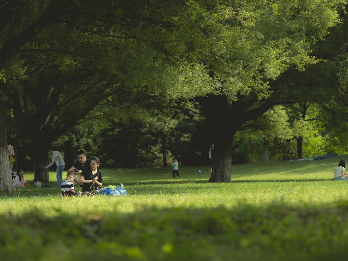 People picnicking in the park