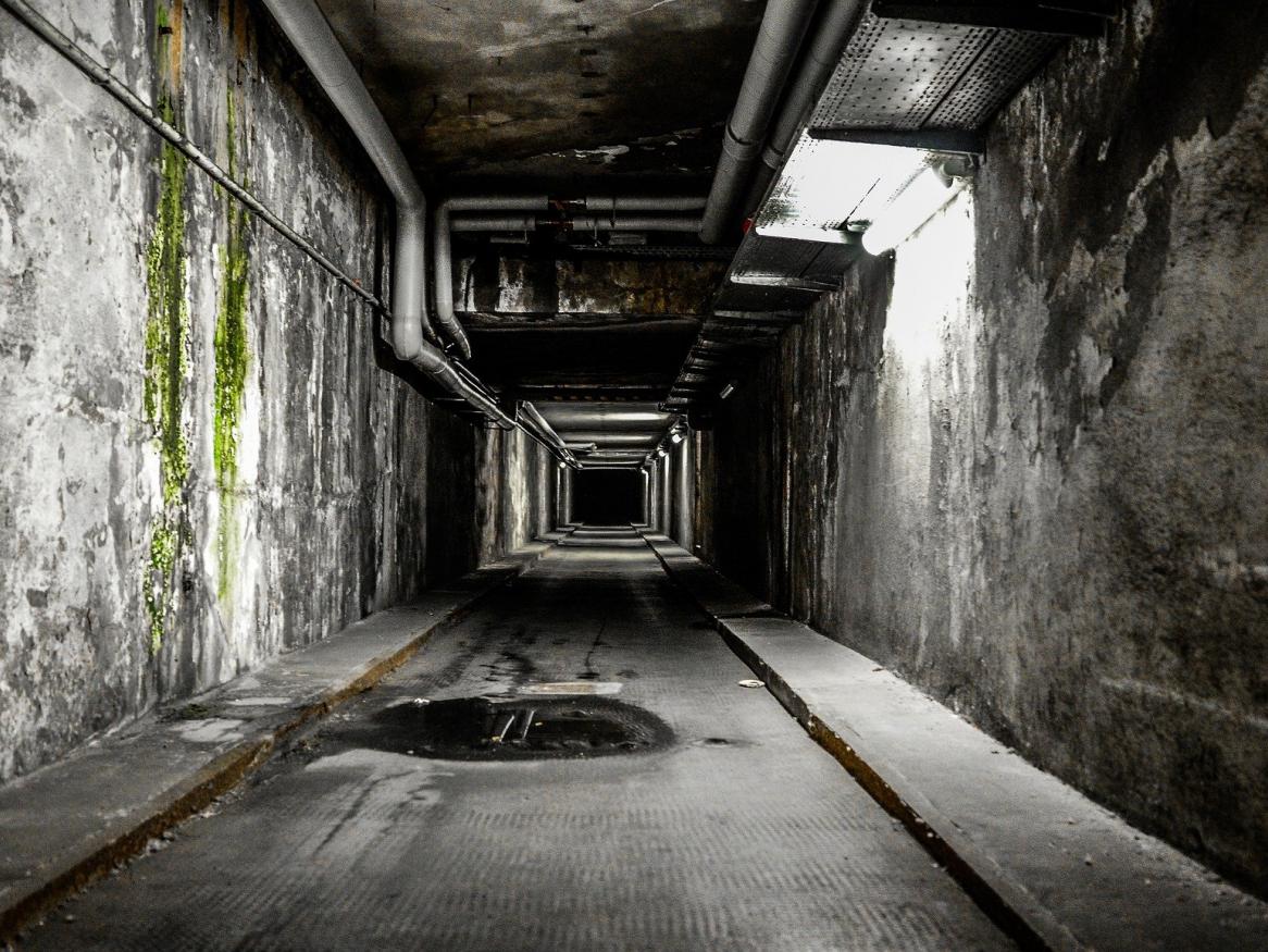 A grey hallway/tunnel with pipes and mold and small flickers of sunlight.