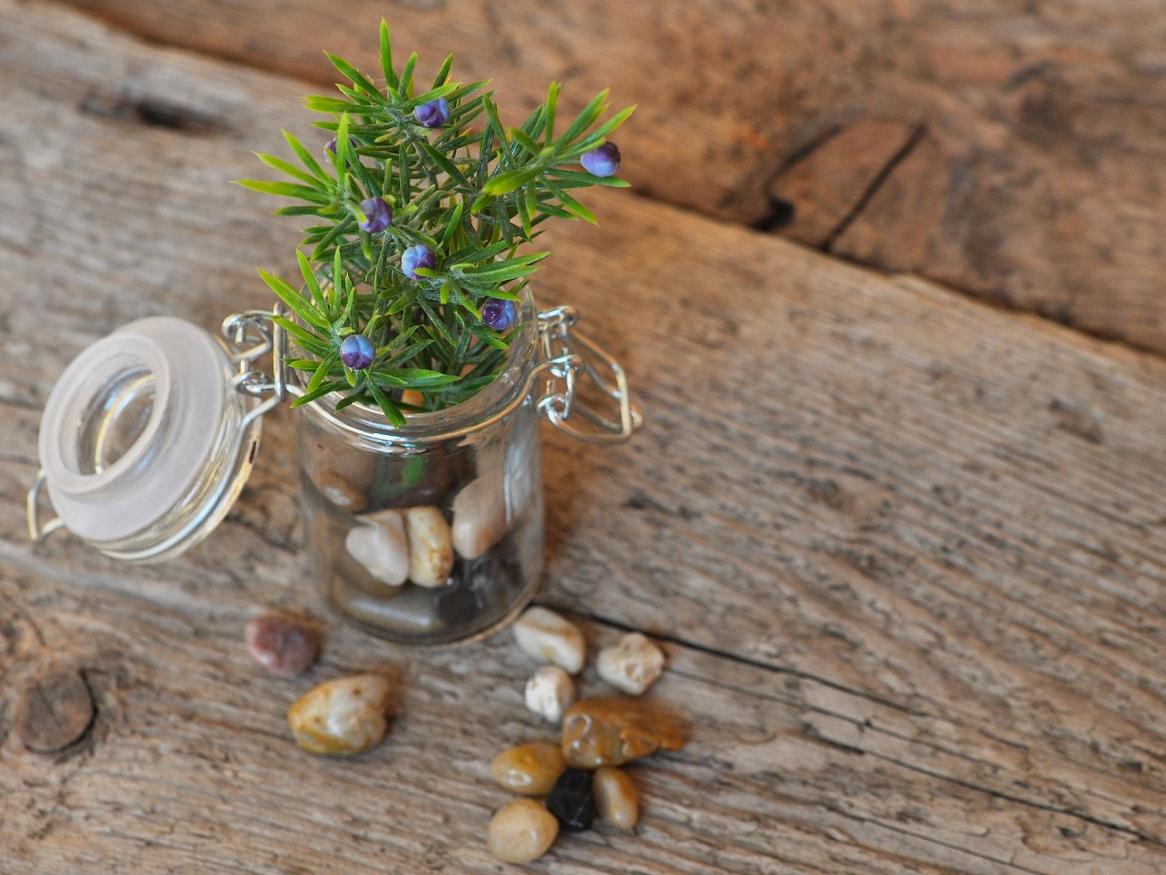 blogpic, pixabay, stones, jar, flowers
