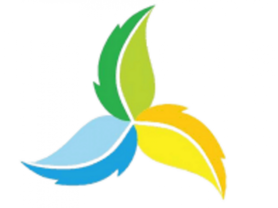 ASA logo, 3 leaves (green, yellow and blue) set in a fan shape
