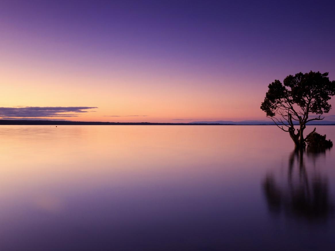 blogpic, pixabay, lake, tree, reflection