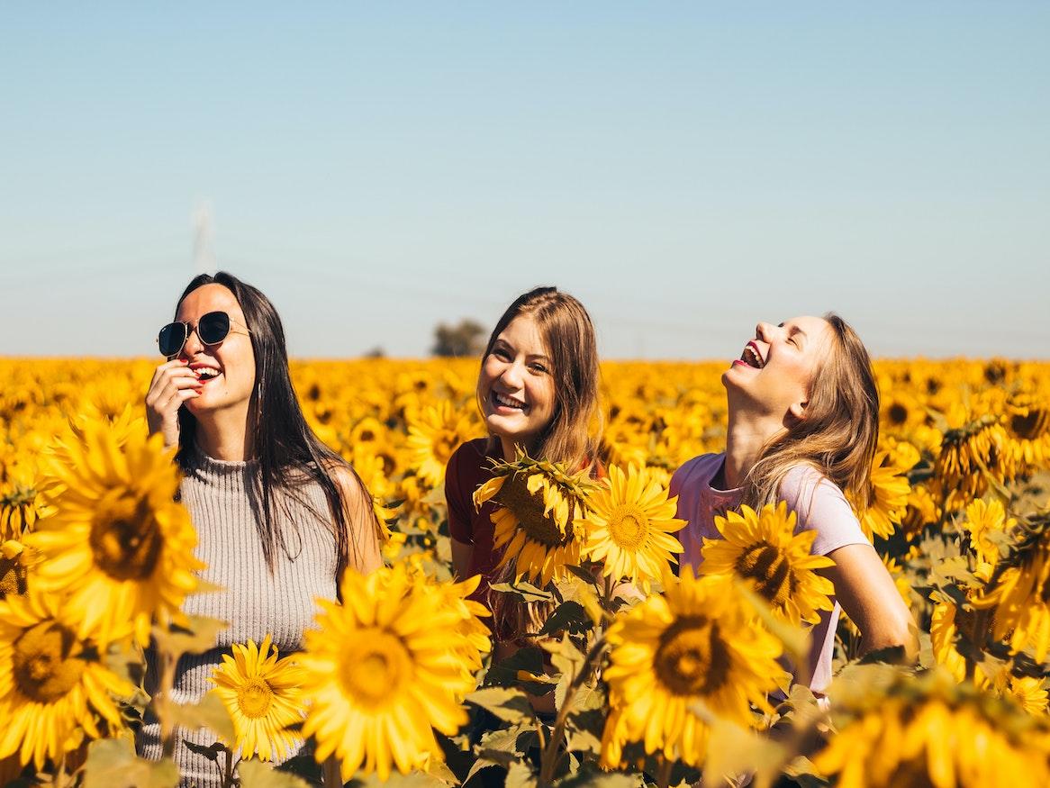 Three women laughing in a sunflower field.