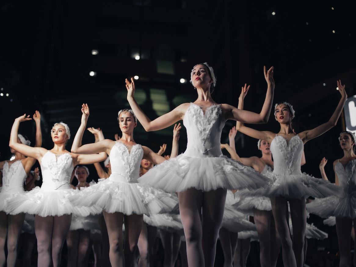 A group of ballerinas.