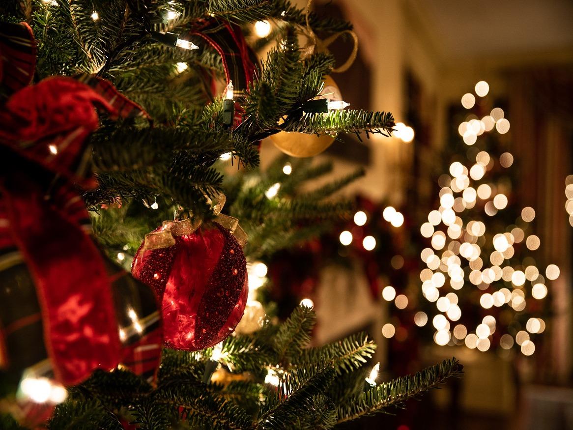 close up bauble and christmas tree