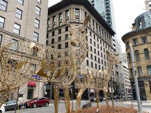 Landscape photo of the city of Montreal, taken by Kanika Singla (2024)