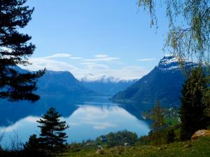 Luster Fjordland, Norway, taken by Jennifer Lamb (2024)