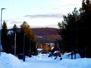 Jukkasjärvi Swedish Lapland, taken by Jennifer Lamb (2024) 