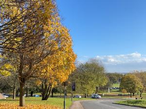 Autumn at University of Nottingham, taken by Mia Romeo (2023)