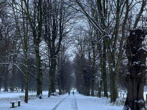 Snowy Wollarton Park in Nottingham, taken by Mia Romeo (2023)