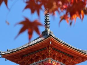Kiyomizu Dera Temple in Japan, taken by Xizi Wang (2024)