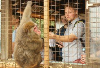 At the famous Monkey Park